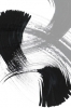 Dry Brush No. 1 Variante 1