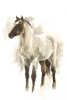 Painted Horse No. 2 Variante 1