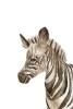 Animal Babies No. 4 - Zebra Variante 1