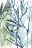 Sea Grass Collection No. 3 Variante 1