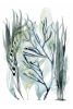 Sea Grass Collection No. 4 Variante 1