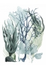 Sea Grass Collection No. 5 Variante 1