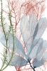 Seaweed No. 1 Variante 1