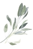 Sage Leafs No. 1 Variante 1