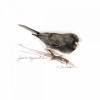 Little Birds No. 3 Variante 1
