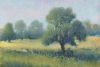 Summer Meadow Variante 1