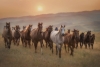 Wild Horses Variante 1