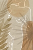 Fern Shadows Variante 1