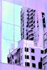 Pink Reflections Variante 1