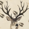 Stag Variante 1