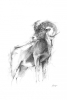 Animal Sketch No. 3 Variante 1