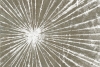 White Light No. 1 Variante 1