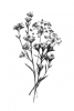 Charcoal Bouquet No. 2 Variante 1