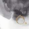 Golden Ring No. 5 Variante 1
