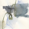 Empty brush No. 5 Variante 1