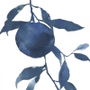 Blue Apple Variante 1