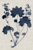 Linen No. 2 Variante 1