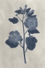 Impress flowers No. 3 Variante 1