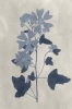 Impress flowers No. 4 Variante 1