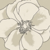 Painted in beige Variante 1