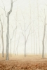 Burnt Autumn Variante 1