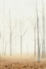 Burnt Autumn No. 2 Variante 1