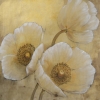 White poppy No. 2 Variante 1
