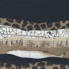 Whimsical earth Variante 1