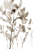 Flowery overlap No. 2 Variante 1