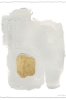 Goldtorn Variante 1