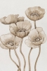 Sepiapoppy Variante 1