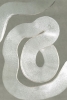 Whiteway Variante 1