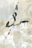 Expiring black Variante 1