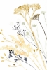 Flowerfellow Variante 1
