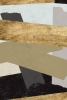 Shed Variante 1