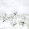 Whitemal Variante 1