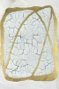 Golddrought Variante 1
