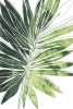 Green Sketches No. 1 Variante 1