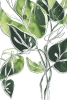 Green Sketches No. 2 Variante 1