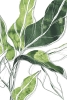 Green Sketches No. 3 Variante 1