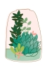 Terrarium No. 1 Variante 1