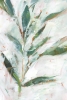 Radiant Foliage Variante 1