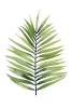 Palm Zen Variante 1
