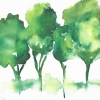 Springtime Variante 1