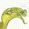 Young Frog Variante 1