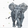 Young Elephant Variante 1