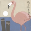 Avian Calendar: August Variante 1