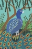 Pretty Peacock No. 1 Variante 1