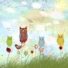 Blue Owl Variante 1