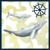 Whales in Watercolour No. 2 Variante 1